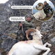 Illustration for article titled That Idiot On Your Hunting Message Board Might Be Donald Trump Jr.